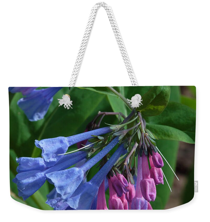 Flower Weekender Tote Bag featuring the photograph Virginia Bluebells by Daniel Reed