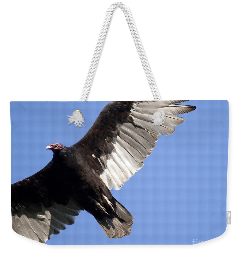 Vulture Weekender Tote Bag featuring the photograph Vulture by Jeannette Hunt