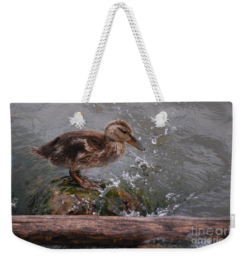 Duckling Weekender Tote Bag featuring the photograph Wading by Grace Grogan