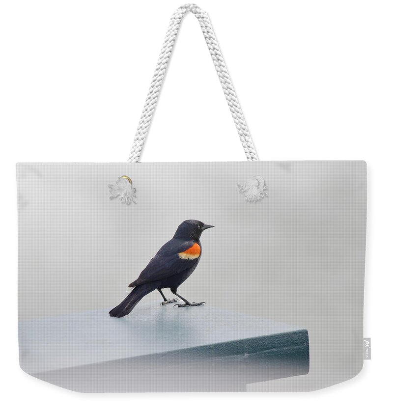Bird Weekender Tote Bag featuring the photograph Waiting by Julie Palencia