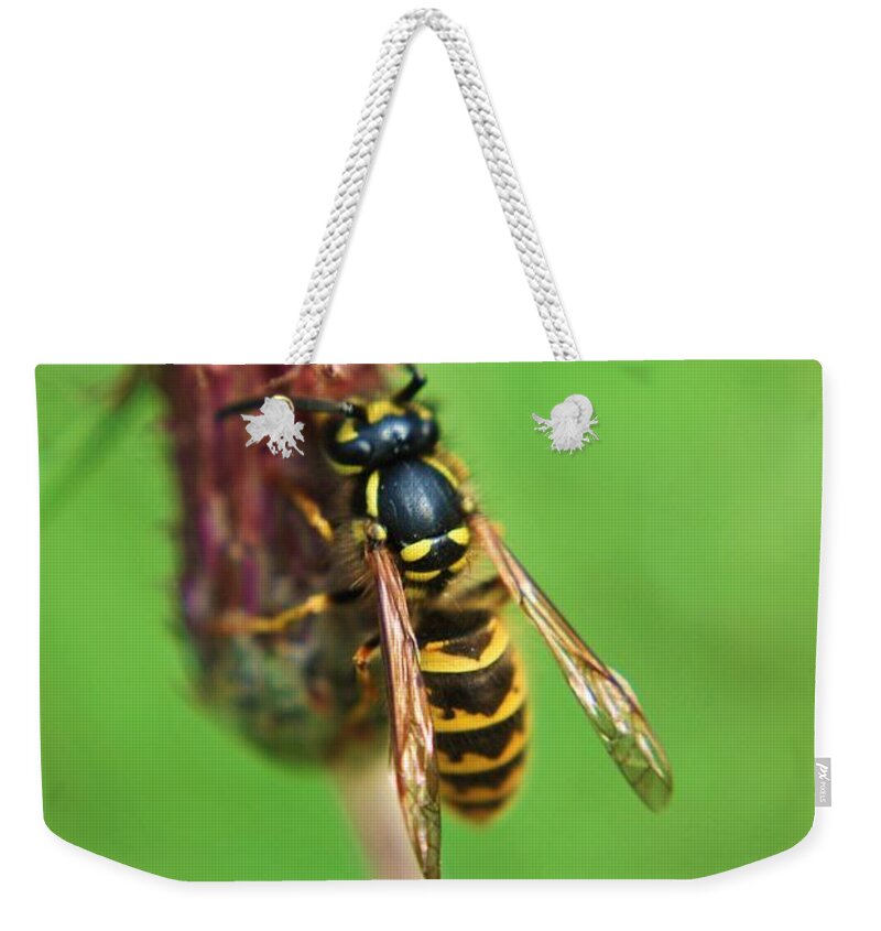 Yhun Suarez Weekender Tote Bag featuring the photograph Wasp On Plant by Yhun Suarez