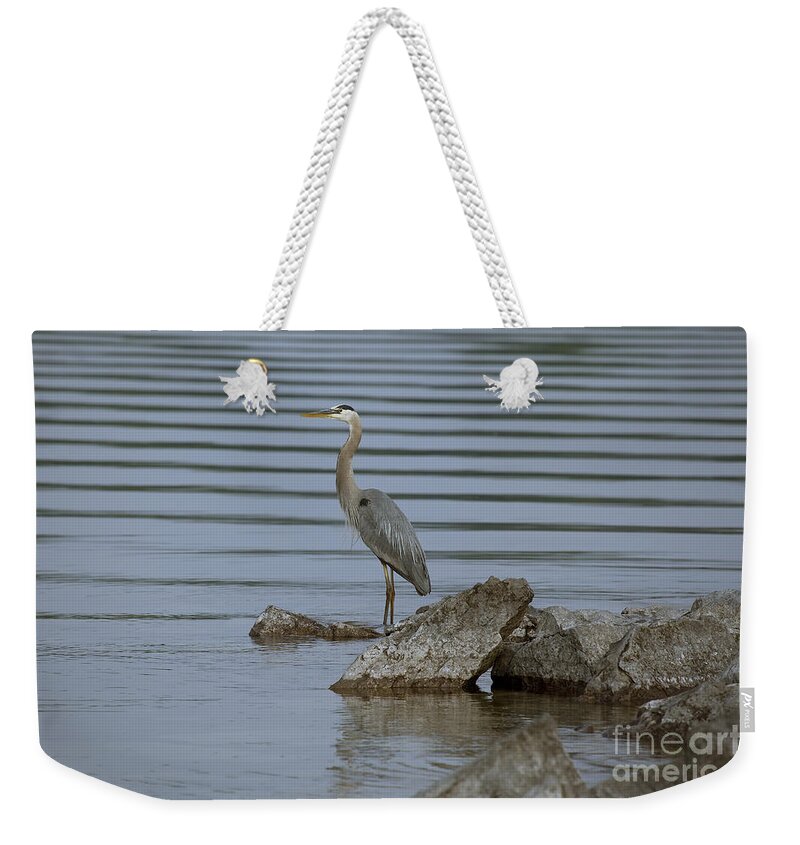 Heron Weekender Tote Bag featuring the photograph Watchful by Eunice Gibb