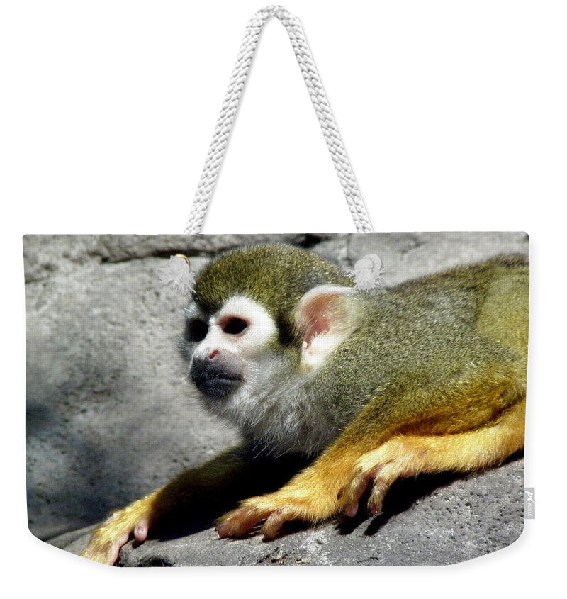 Monkey Weekender Tote Bag featuring the photograph Watching Over by Kim Galluzzo Wozniak