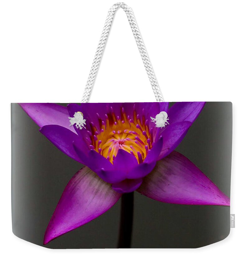 Water Weekender Tote Bag featuring the photograph Water Lily by Farol Tomson