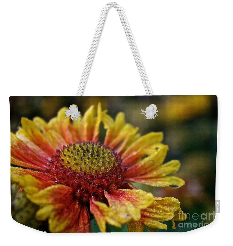 Flower Weekender Tote Bag featuring the photograph Waterlogged Arizona Apricot by Susan Herber