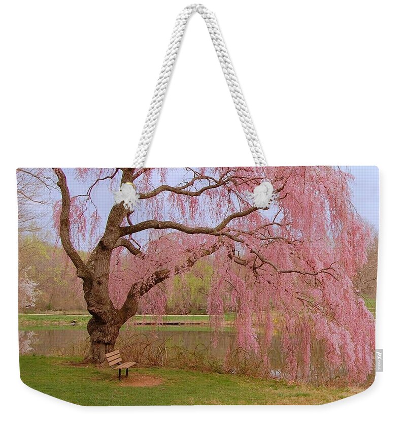 Cherry Blossom Trees Weekender Tote Bag featuring the photograph Weeping Spring- Holmdel Park by Angie Tirado