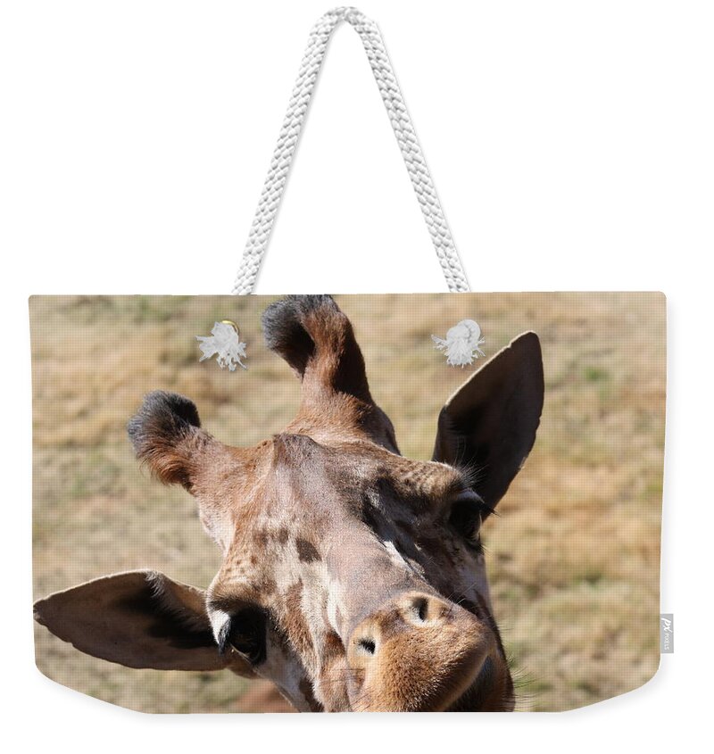 Giraffe Weekender Tote Bag featuring the photograph What A Face by Kim Galluzzo Wozniak