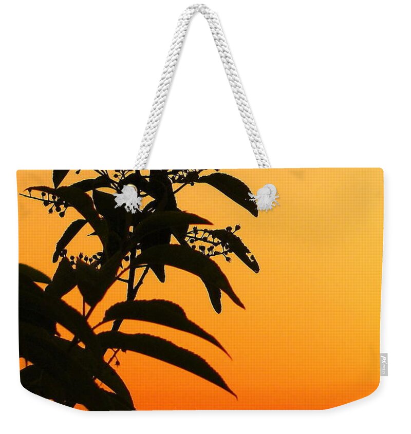 Whipple Hill Weekender Tote Bag featuring the photograph Whipple Hill by Jeff Heimlich