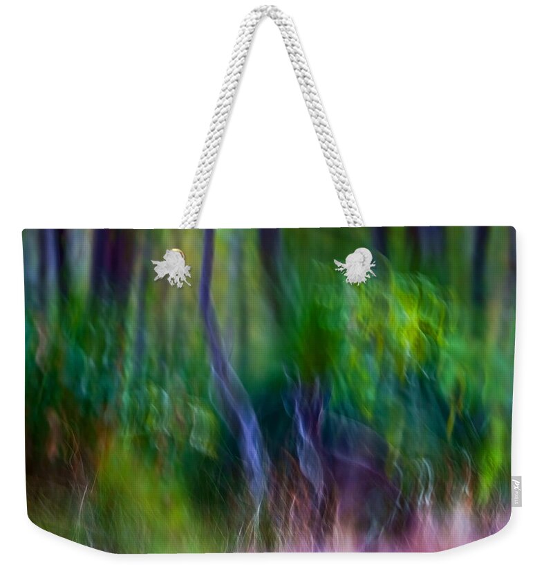 Abstract Weekender Tote Bag featuring the photograph Whispers on the Wind by Michelle Wrighton
