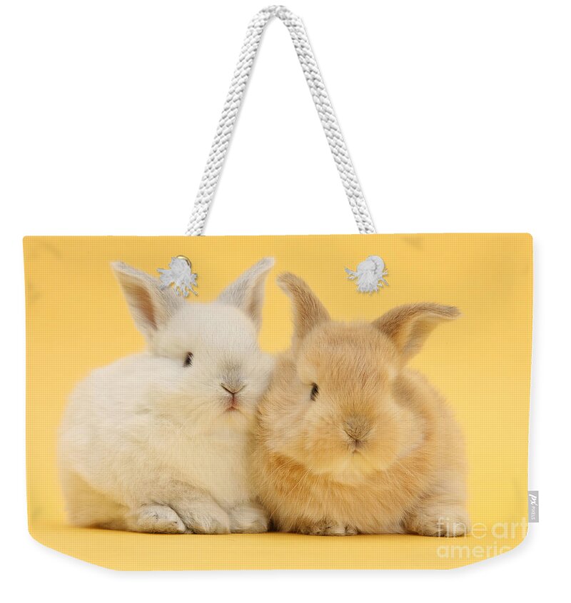 Nature Weekender Tote Bag featuring the photograph White And Sandy Rabbits by Mark Taylor