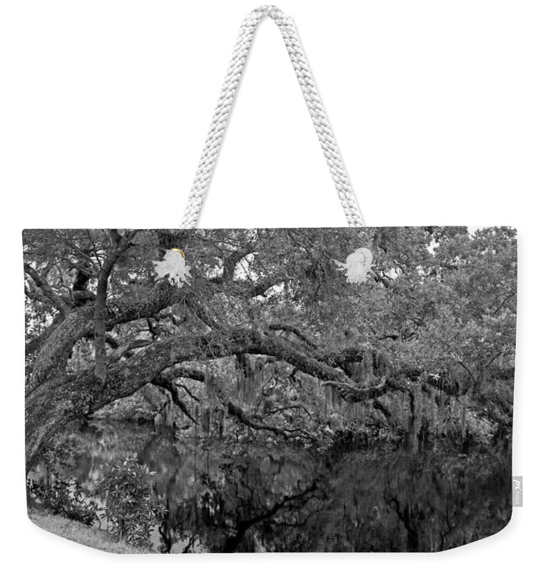 Tree Weekender Tote Bag featuring the photograph White City Oak Pano by Larry Nieland