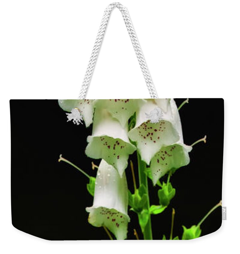 Wildflowers Weekender Tote Bag featuring the photograph White Foxglove by Albert Seger