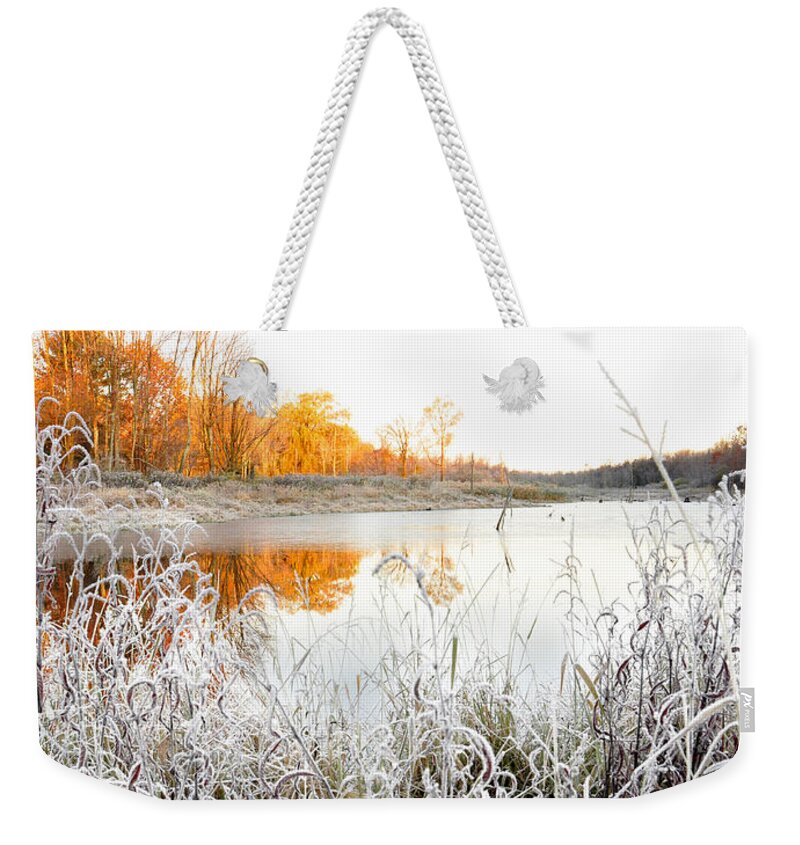 Autumn Weekender Tote Bag featuring the photograph White Gold by Brian Fisher