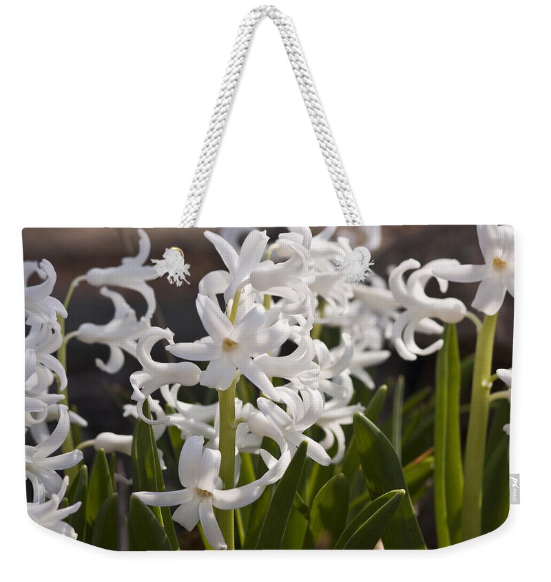 Hyacinth Weekender Tote Bag featuring the photograph White Hyacinths 1 by Teresa Mucha