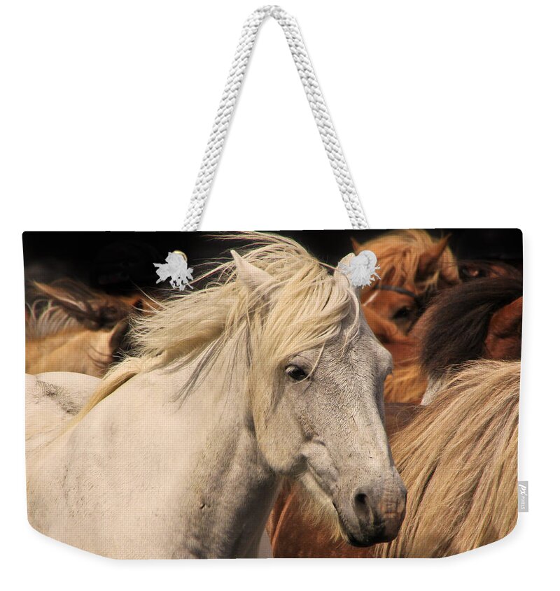 Horse Weekender Tote Bag featuring the photograph White Icelandic Horse by Tom and Pat Cory