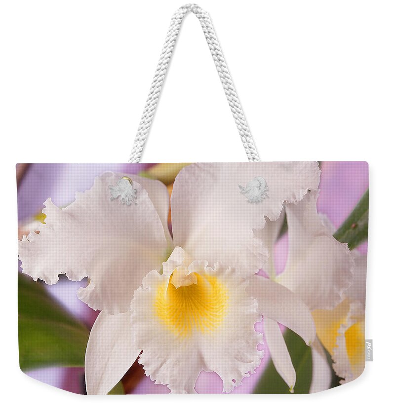 White Flower Weekender Tote Bag featuring the photograph White Orchid by Mike McGlothlen