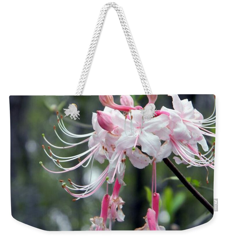 Wild Azalea In The Wild Weekender Tote Bag featuring the photograph Wild Azalea in the Wild by Warren Thompson