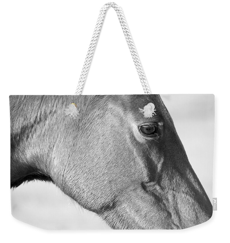 Wild Weekender Tote Bag featuring the photograph Wild Horse Intimate by Bob Decker