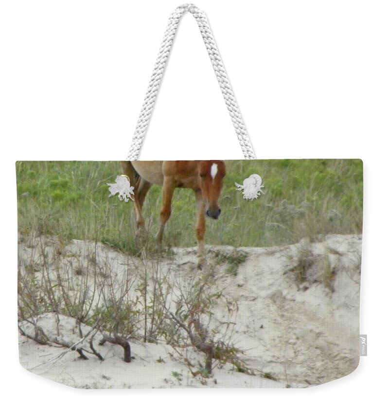 Mustang Weekender Tote Bag featuring the photograph Wild Spanish Mustang of the Outer Banks of North Carolina by Kim Galluzzo Wozniak