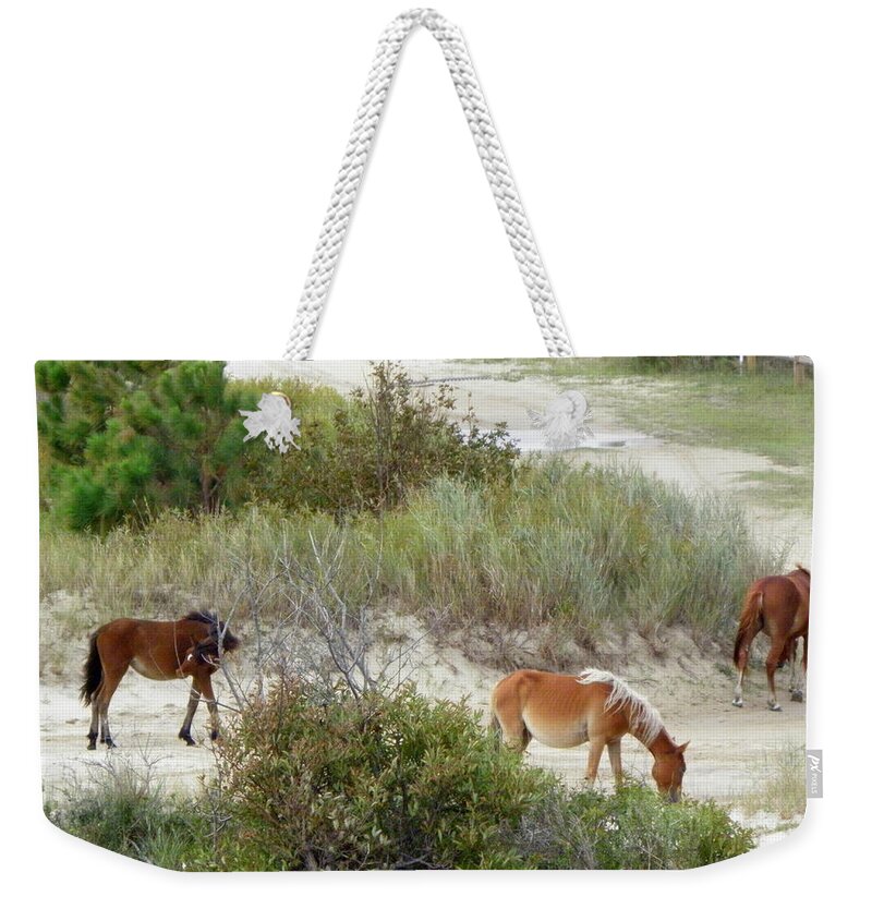 Wild Weekender Tote Bag featuring the photograph Wild Spanish Mustangs of the Outer Banks of North Carolina by Kim Galluzzo Wozniak