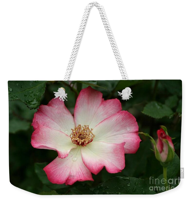 Rose Weekender Tote Bag featuring the photograph Windmill by Living Color Photography Lorraine Lynch