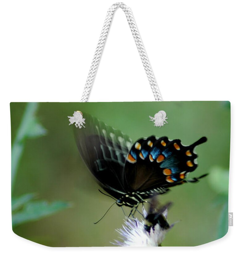 Butterfly Weekender Tote Bag featuring the photograph Wings In Motion by David Weeks