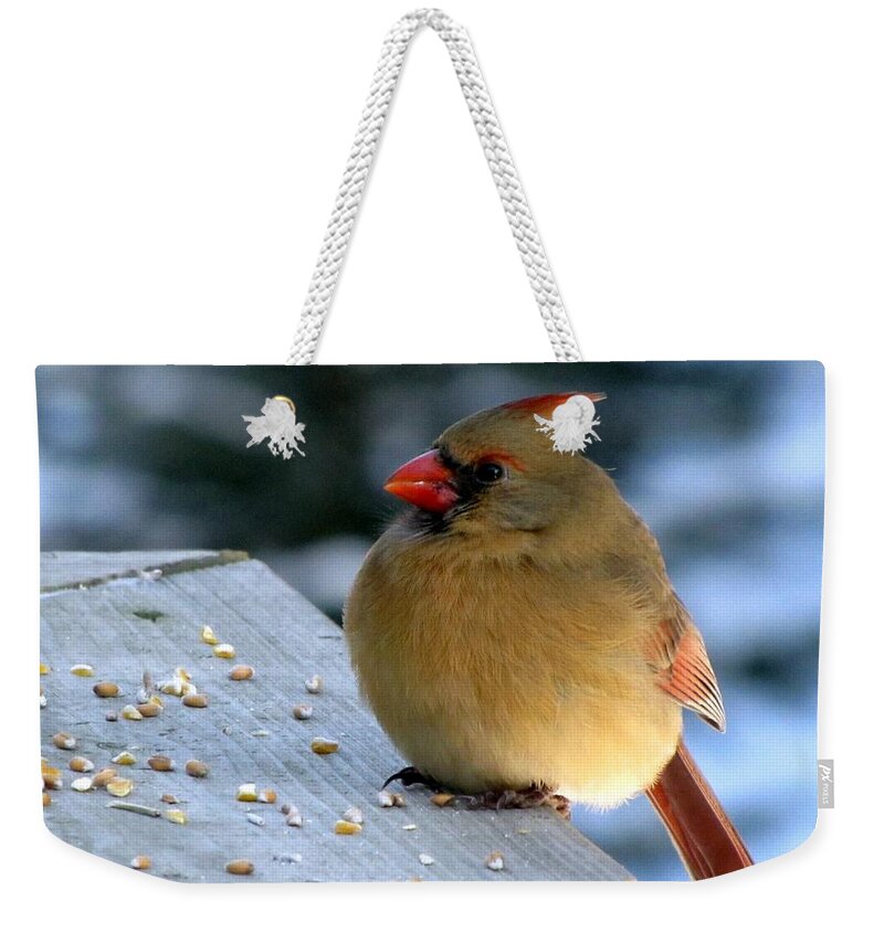 Cardinal Weekender Tote Bag featuring the photograph Winter is not so bad after all by Maciek Froncisz