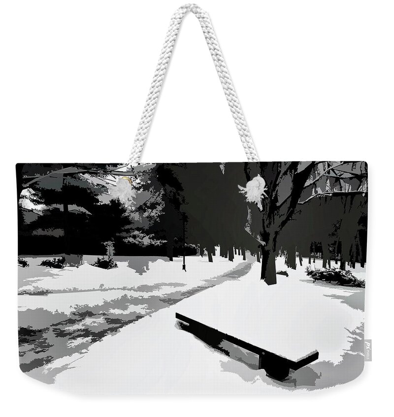 Park In Winter Weekender Tote Bag featuring the photograph Winter Park by Burney Lieberman