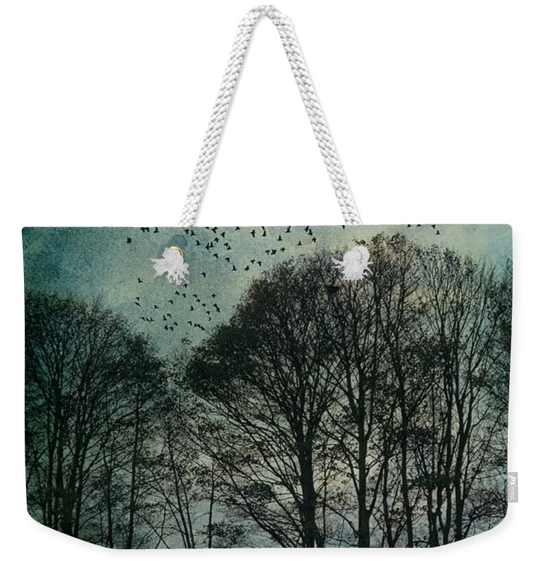  Tree Weekender Tote Bag featuring the photograph Winter Trees by Ann Garrett