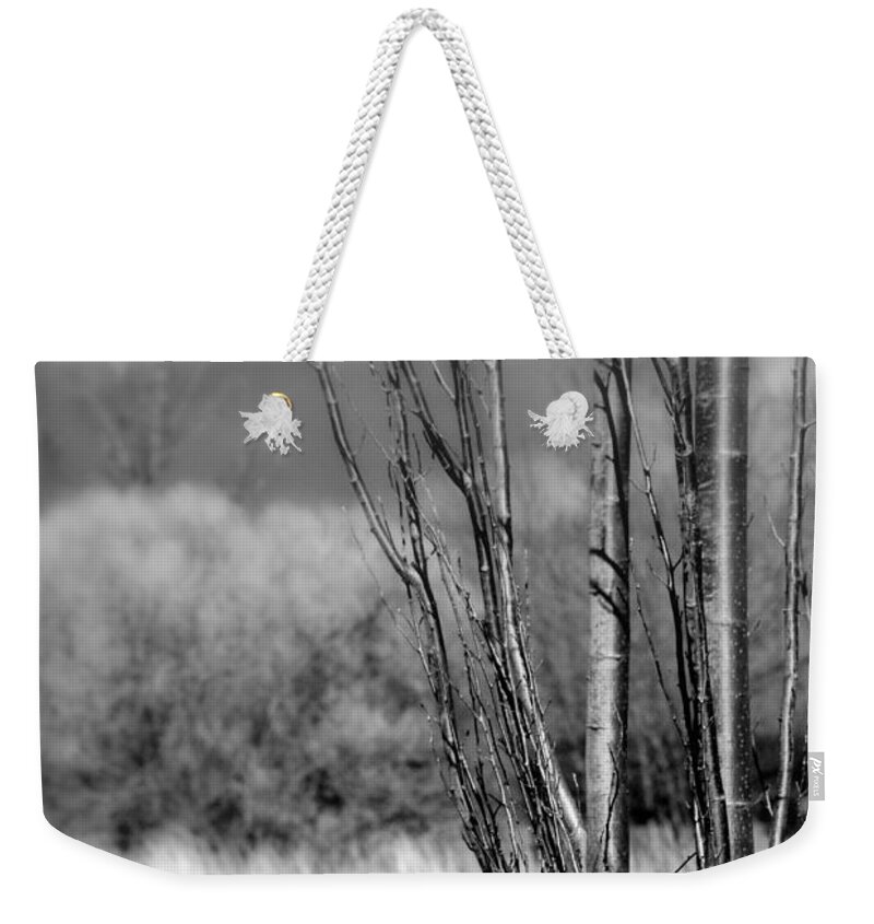 Landscape Weekender Tote Bag featuring the photograph Winters Branch by Kathleen Grace
