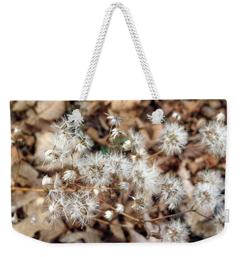 Winters Weekender Tote Bag featuring the photograph Winters flowers by Kim Galluzzo Wozniak