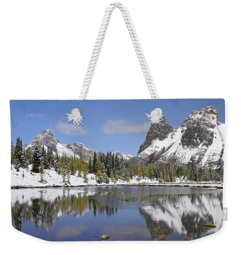 00176090 Weekender Tote Bag featuring the photograph Wiwaxy Peaks And Cathedral Mountain by Tim Fitzharris