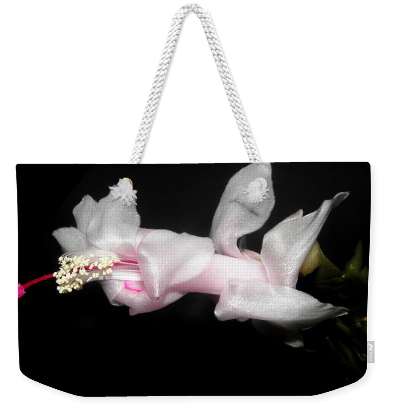 Xmas Weekender Tote Bag featuring the photograph Xmas In Pink by Kim Galluzzo