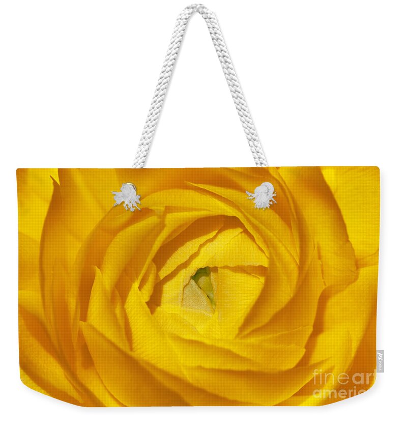 Sandra Bronstein Weekender Tote Bag featuring the photograph Yellow Beauty by Sandra Bronstein
