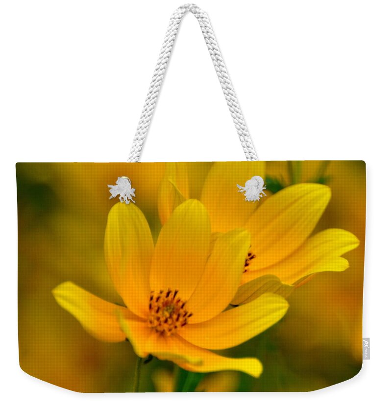 Wild Flower Weekender Tote Bag featuring the photograph Yellow Blaze by Marty Koch