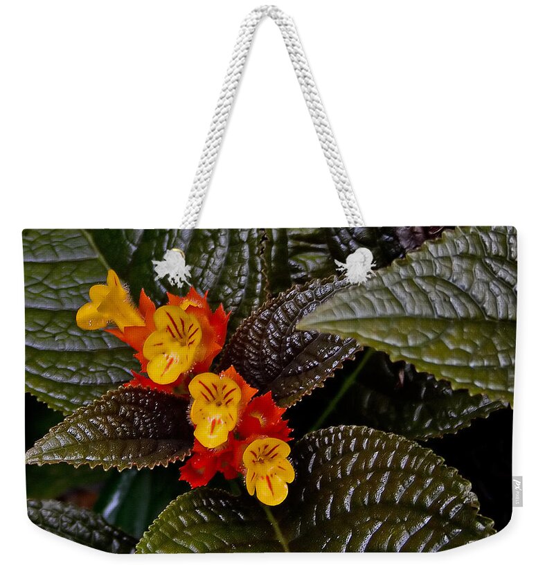 Flower Weekender Tote Bag featuring the photograph Yellow Flowers by Farol Tomson