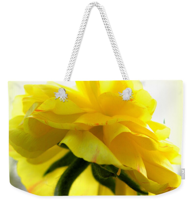 Ranunculus Weekender Tote Bag featuring the photograph Yellow Glow In The Sun by Kim Galluzzo Wozniak