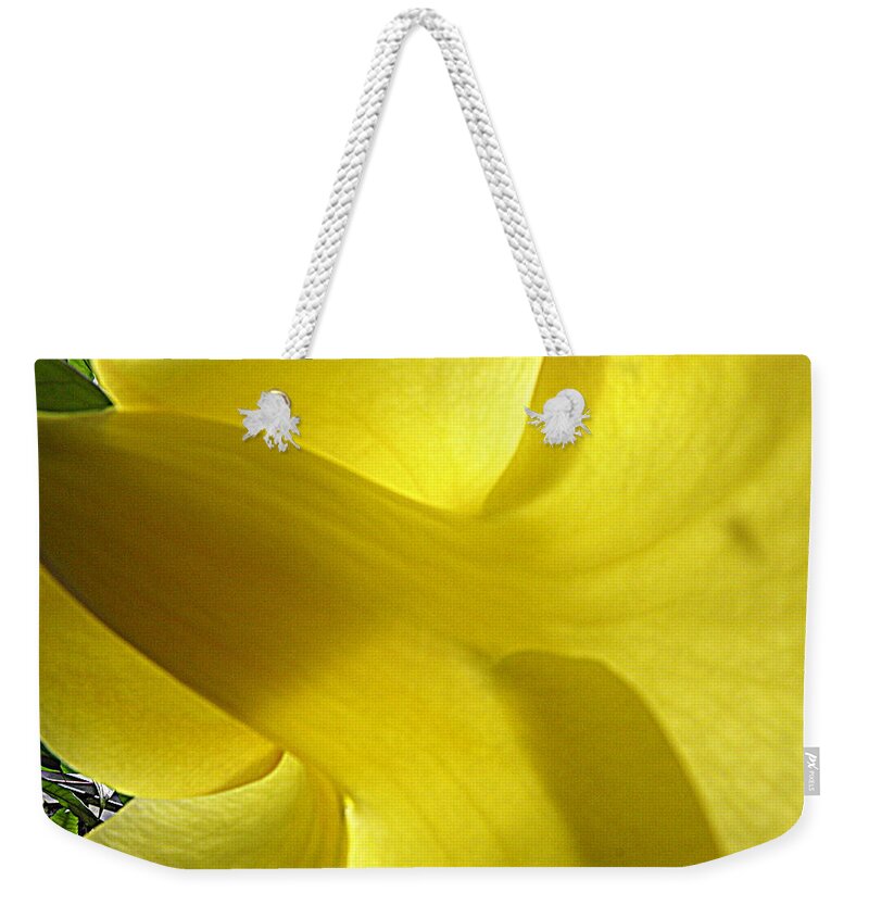 Yellow Trumpet Flower Weekender Tote Bag featuring the photograph Yellow Trumpet by Kim Galluzzo