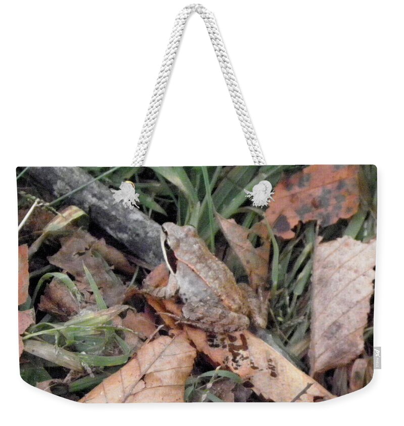 Frog Weekender Tote Bag featuring the photograph yes I blend by Kim Galluzzo Wozniak
