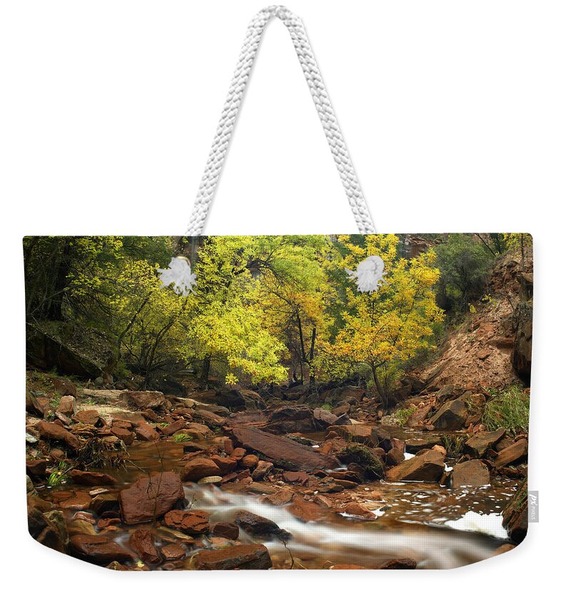 00175182 Weekender Tote Bag featuring the photograph Zion Canyon Near Emerald Pools Zion by Tim Fitzharris