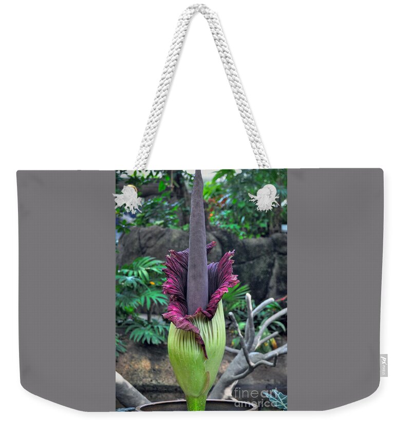 Morticia Weekender Tote Bag featuring the photograph Corpse Flower by Savannah Gibbs