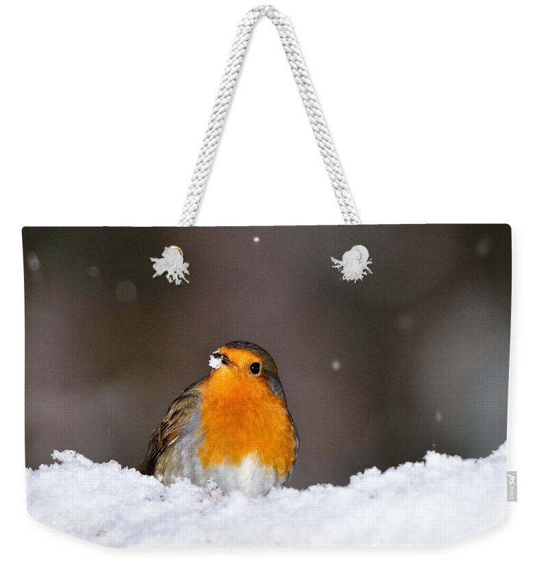 Robin In Snow Weekender Tote Bag featuring the photograph Robin in the Snow by Gavin Macrae