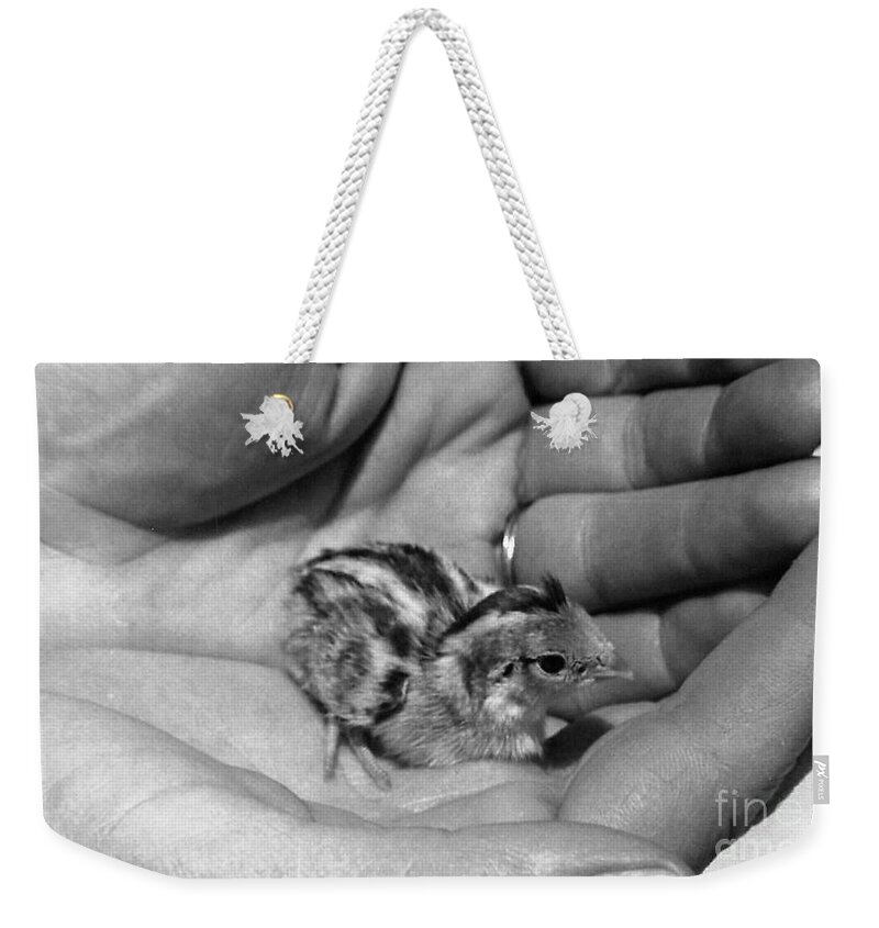 Chicks Weekender Tote Bag featuring the photograph 01_contact With Nature by Christopher Plummer