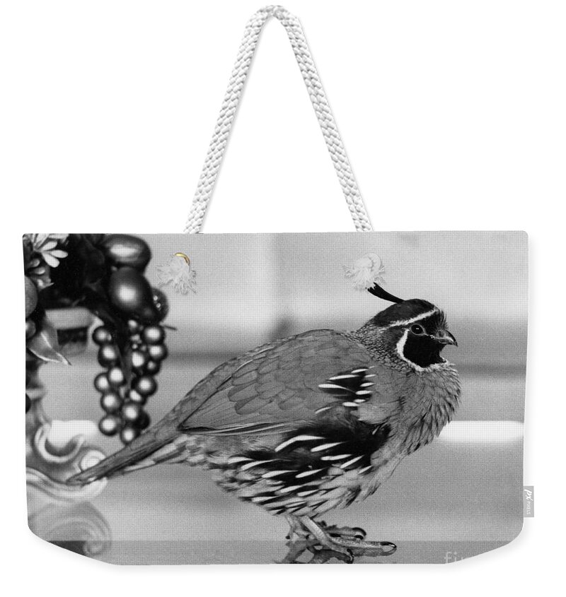 Nature Weekender Tote Bag featuring the photograph 08_We had decided to move by Christopher Plummer