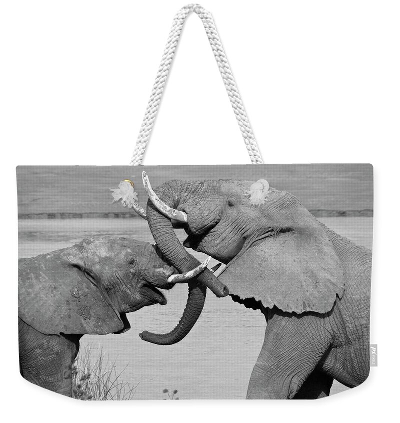 Africa Weekender Tote Bag featuring the photograph A Friendly Tussle #1 by Michele Burgess