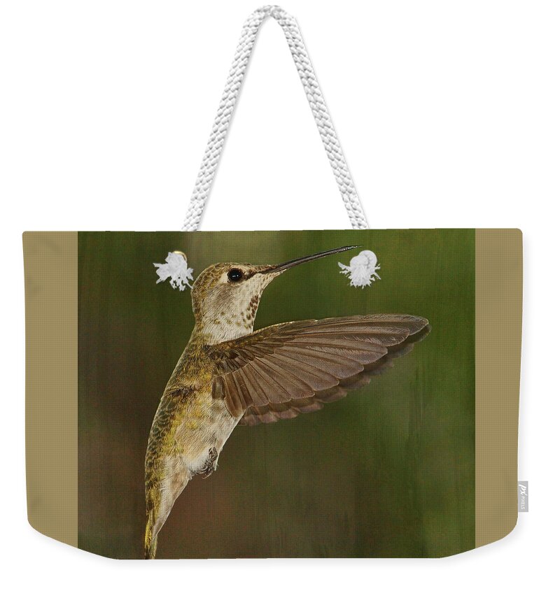 Hummingbird Weekender Tote Bag featuring the photograph A Pause in the Action #1 by Theo O'Connor