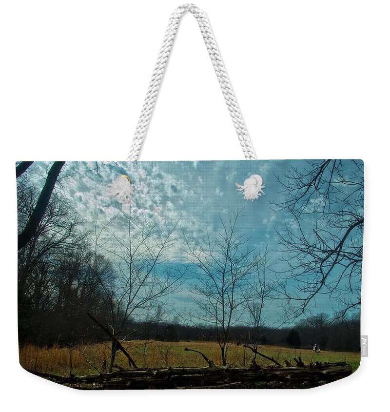 Field Weekender Tote Bag featuring the photograph A Walk in a Field #1 by George Taylor