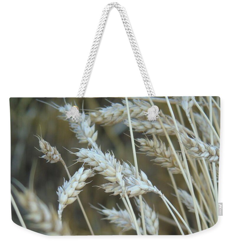Wheat Weekender Tote Bag featuring the photograph Abstract photography #1 by Yohana Negusse