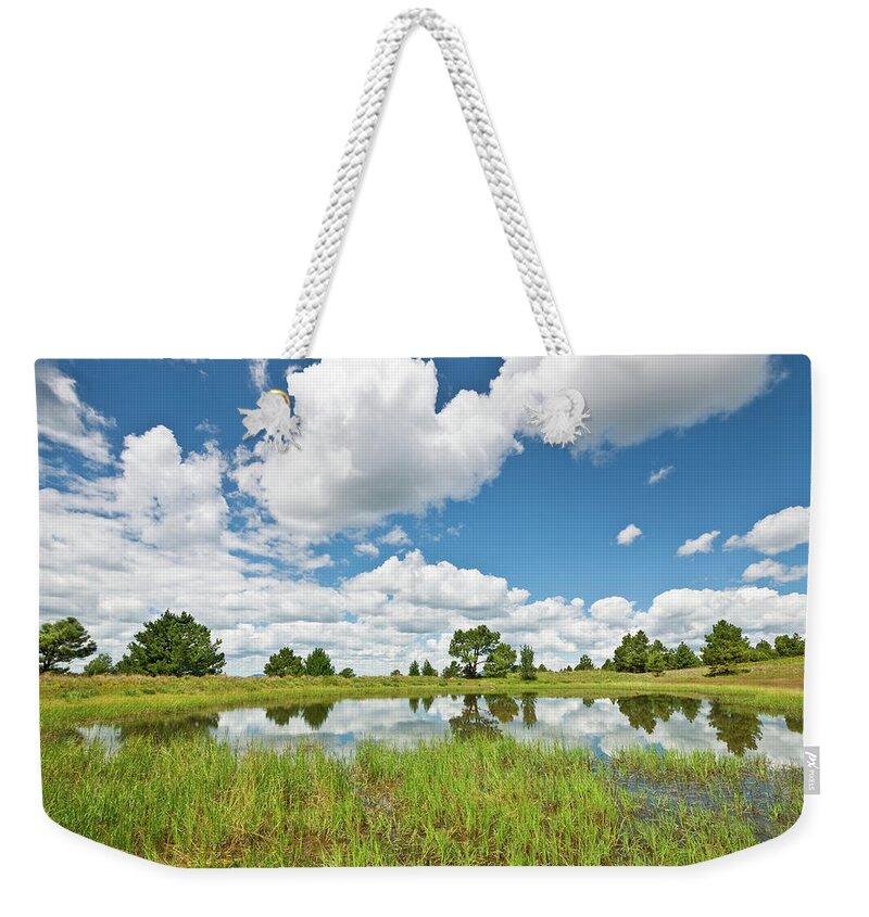 Arizona Weekender Tote Bag featuring the photograph Alfa Fia Tank #1 by Jeff Goulden