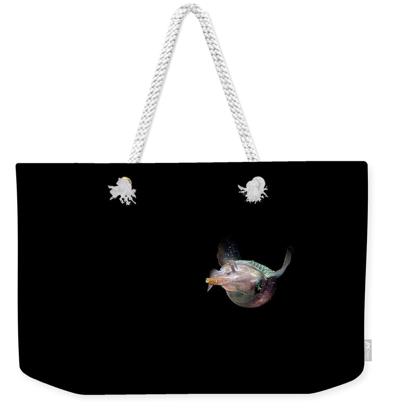 Jean Noren Weekender Tote Bag featuring the photograph Alien Squid #1 by Jean Noren